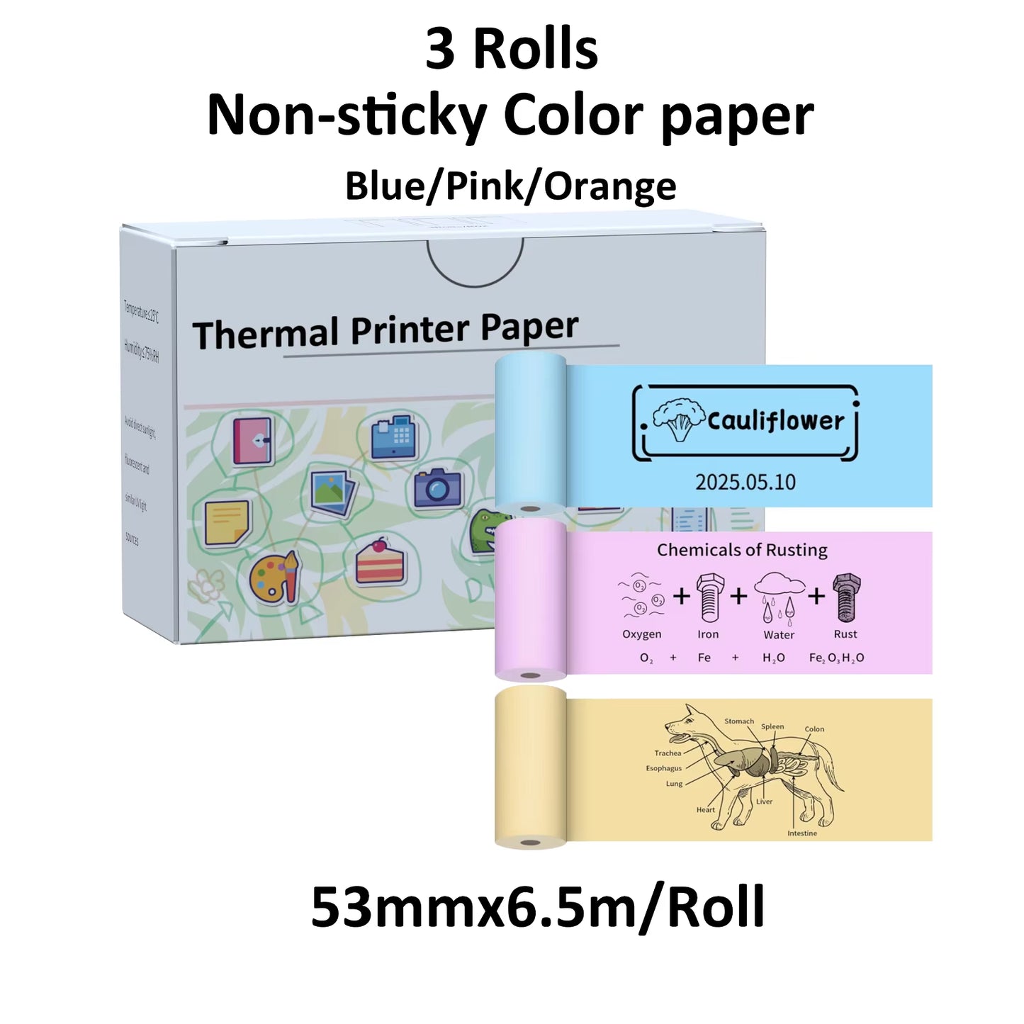 Mini Pocket Bluetooth Printer โ Inkless Thermal Sticker Printer for Photos, Notes & DIY Labels